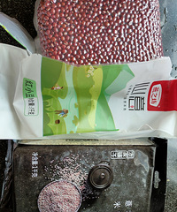 �춹޲�����������ű���������ٳ�Ҳ����