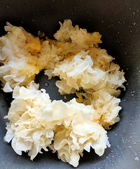 �춹޲�����������ű���������ٳ�Ҳ����