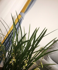 �����ŵ�������������