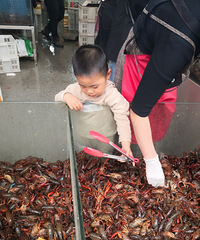 ����̫�����д����С��Ϻ��ơ�Ƹ���Ŷ