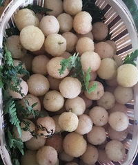 ������һ�سԵ�����÷��ζ��������