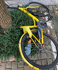 ��ܺ��ofo�������洦ͣ�ţ��ܶ඼ȱ�첲����