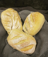 �ٴγ�����ŷ���������ϵĺóԲ�ֹһ���