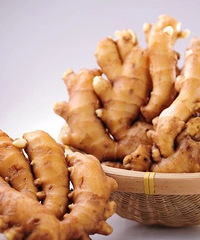 һ�뽪����͸��̱���һ����ʮ����ʳ�Ŀ��ơ�������