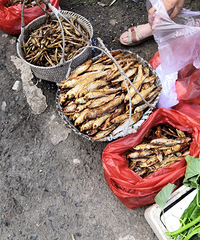 �Բ��𰺹�ĺ��ʣ�������ζ������Ҳ����