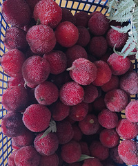 ��ǻ������ʲô�취��������