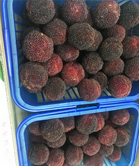 ���۸��᡿΢�š���һ�ġ����Ǻøл��Ƿ��У�