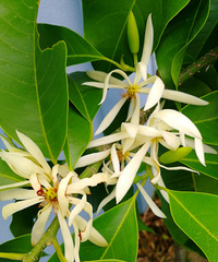 �������㣬һ��������������