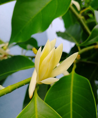 �������㣬һ��������������