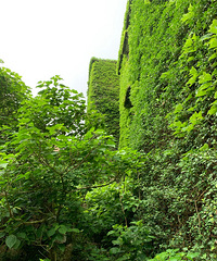 ��ɽȺ��֮��-��轵��ϵ����˴�