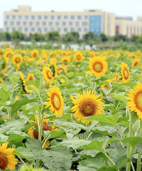 ��С�ࡱ�������㣡��20Ķ���տ��Ѳ��ã�һ��ȥ����