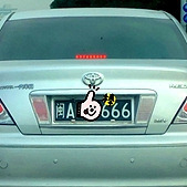 һ����غ�ɫ����