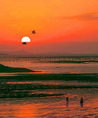 �㽭ԭ��������ô���ĺ���С�ǣ������Լݶ�����