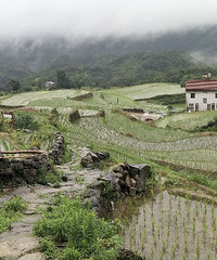 �����⣬�����续