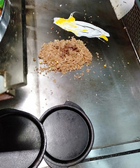 ����һ��ţ�⳴����ζ��ͦ�����ľ��Ǹ��˵�