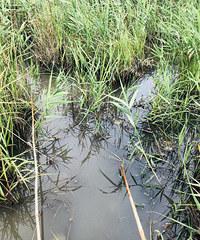 ����Ϻ��һ������ճ�