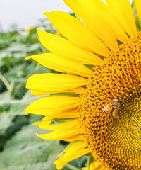 ���ҽ��ڽ������̫�������ˣ���Ư��