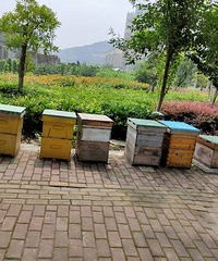 ����û�л�����ô������ô�����