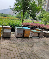 ����û�л�����ô������ô�����