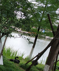 ����챣���Ĳ�����ץ���ú���쵰���˾���5��