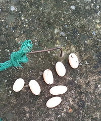 ����������ڹ�����7�����˵�