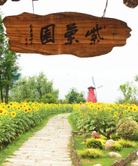 ̨���⼸Ƭ���տ���������һ��ʢ�����죡