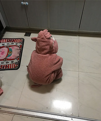 ������������԰�����ڻ������£������ܶ������׶�԰��