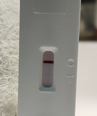 �ҼҺ캢���������ռǣ�