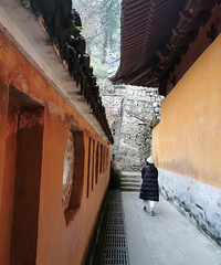 �����ڹ��������ϵĳ��������������������ζ