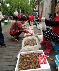 ����ɽ��ǰ����·�˳����ܶ�̯����ҹ�ͳ�����