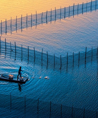 ̨�������������С�ǣ�ӵ���㽭������̲Ϳ