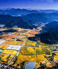 ̨�������������С�ǣ�ӵ���㽭������̲Ϳ