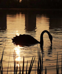 ����̨�ݡ��ͺϹ�԰