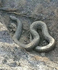 30���������������ͼƬ̫������