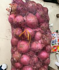 һ��Ƥ����в�10Ԫ