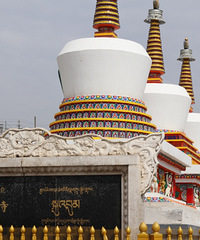 ���С����7���Σ��˾�������5000����