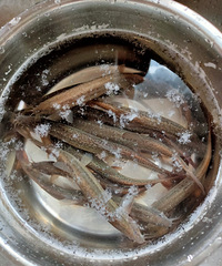 ����12��������Ҫ�������Ͼƺ�����֮������