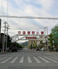 ����ɽ�Ｃ3--���޺�ţ�ľ���