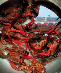 ��˽����ʳNo.43������С��Ϻ�����������Լ���