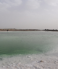 ���С����7���Σ��˾�������5000����