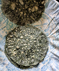 ����ũ������ʮ�����������ֳ������һ�������