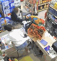 ���ӳ�����У��������������ܣ�����:û������ô���ٵ�