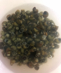 �������ϣ��Լ����Ĳ��������