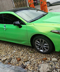 ���������ġ���ɫҲ������