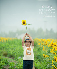 ���µ����죬�򵥵Ĺ���ȷ������