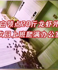 Ů�ӵ�������ȡ���ڶ����ϰ౻�ſޣ��칫���ѱ�ռ�졭