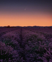 ���ǹ۲�꣬�㽭��֪������û�л���