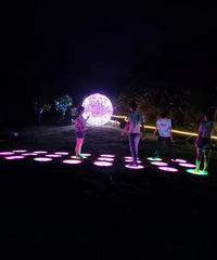 ������ҹ�´�ʤ�أ�̨�������������µ�