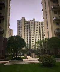 ҹ̽��������أ����ž��԰���