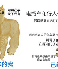 ����Ŀ�����ŵ�Ż�£����������⼸��